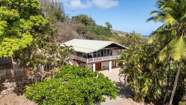 a aerial view of a house with a yard and potted plants