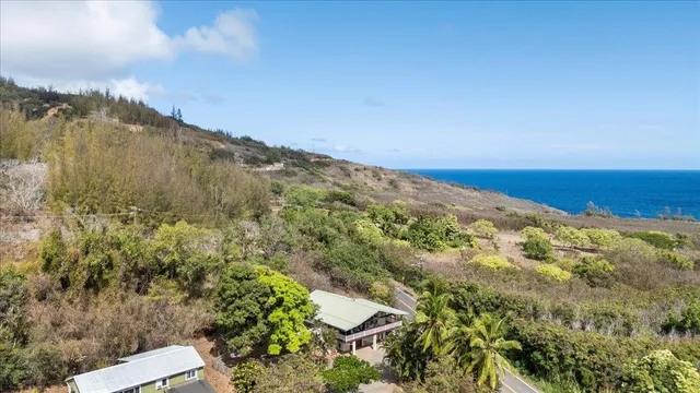 an aerial view of a house with a yard and garden