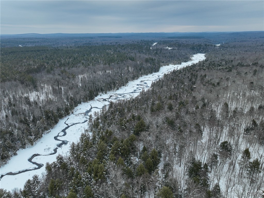 Lot#3 Roberts Road Remsen, NY 13438 - Photo 9 of 28