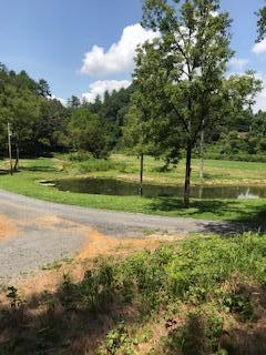 150 Burchfield Cemetery Road Reliance, TN 37369 - Photo 14 of 21 IMG_5576