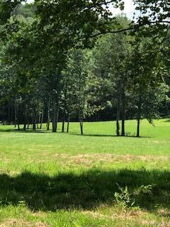 150 Burchfield Cemetery Road Reliance, TN 37369 - Photo 21 of 21 IMG_5567