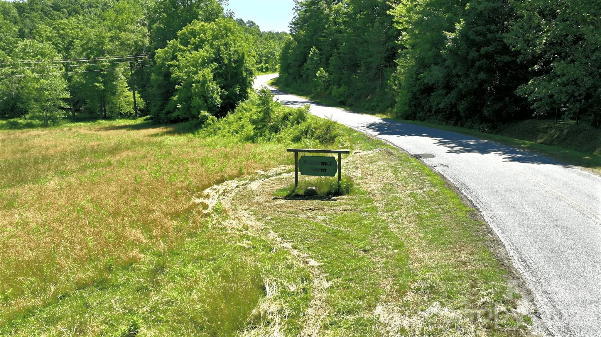 1194 Palmer Road Mill Spring, NC 28756 - Photo 2 of 33