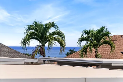 a view of a potted plants with water view