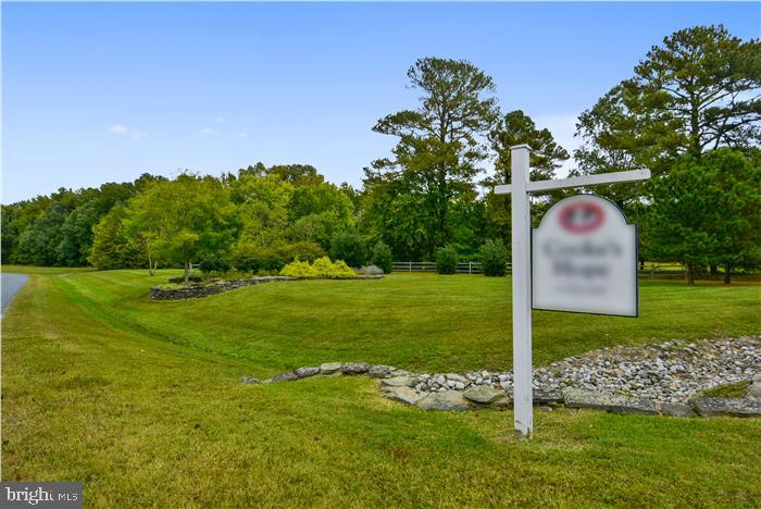 28935 Jennings Road Easton, MD 21601 - Photo 8 of 108 Gallery Image 8