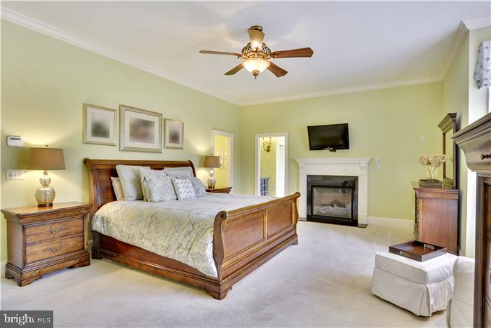28935 Jennings Road Easton, MD 21601 - Photo 71 of 108 Gallery Image 71