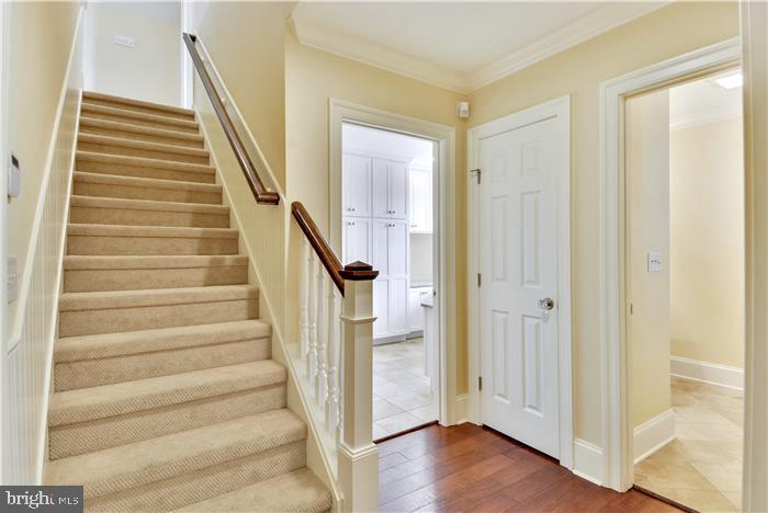 28935 Jennings Road Easton, MD 21601 - Photo 80 of 108 Gallery Image 80
