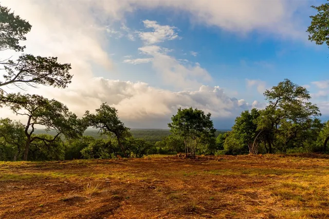 a view of a field with trees in the background