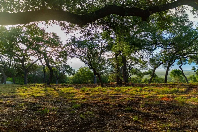 a view of outdoor space with trees