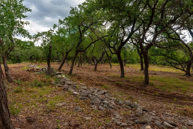 a view of outdoor space with trees