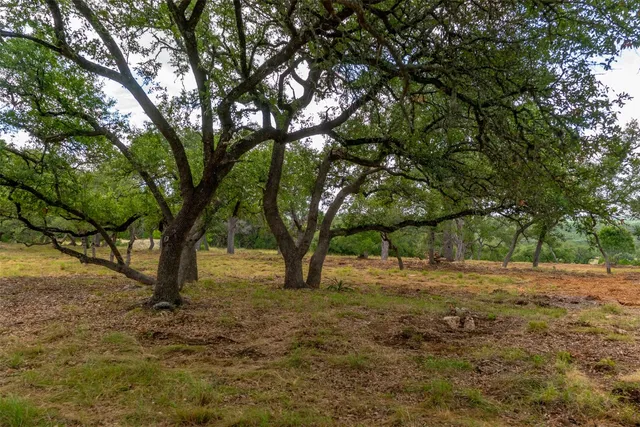 a view of dirt yard with a tree