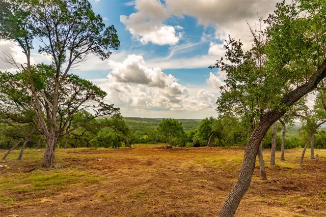 a view of a yard with large trees