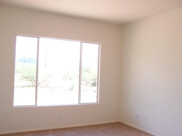 131 Corte Alemania Rio Rico, AZ 85648 - Photo 4 of 9