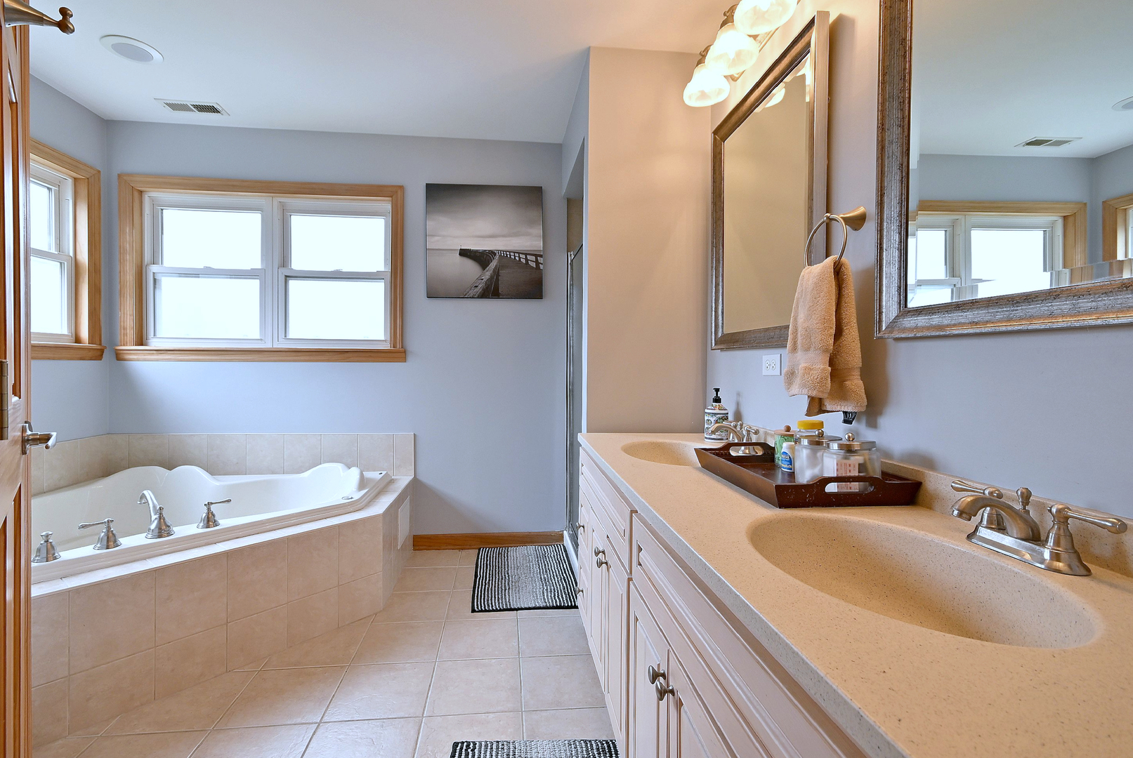 1495 East Algonquin Road Des Plaines, IL 60016 - Photo 38 of 41 a bathroom with a tub sink and mirror