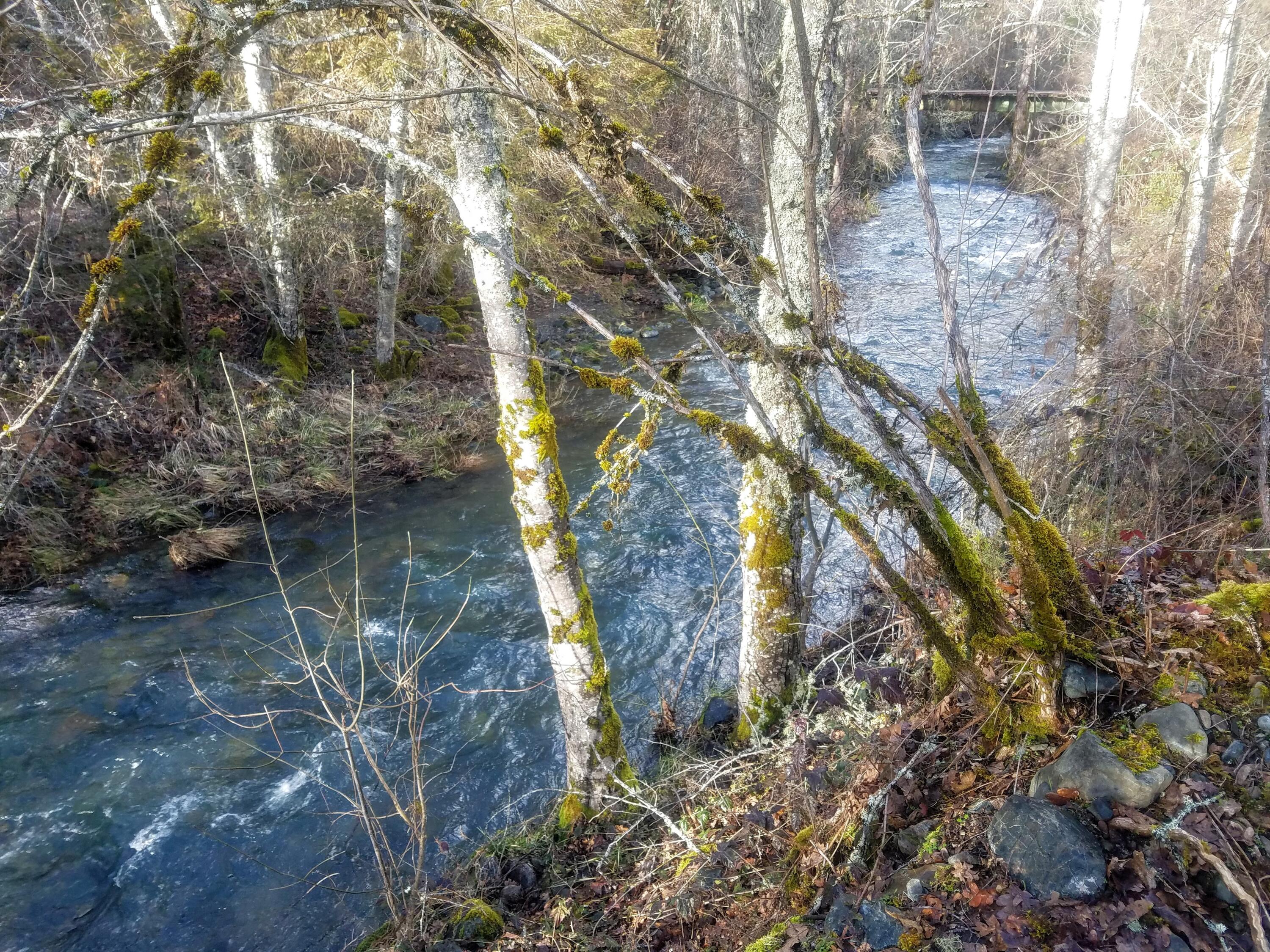 776 Murphy Creek Road Grants Pass, OR 97527 - Photo 8 of 8 20210219_154238