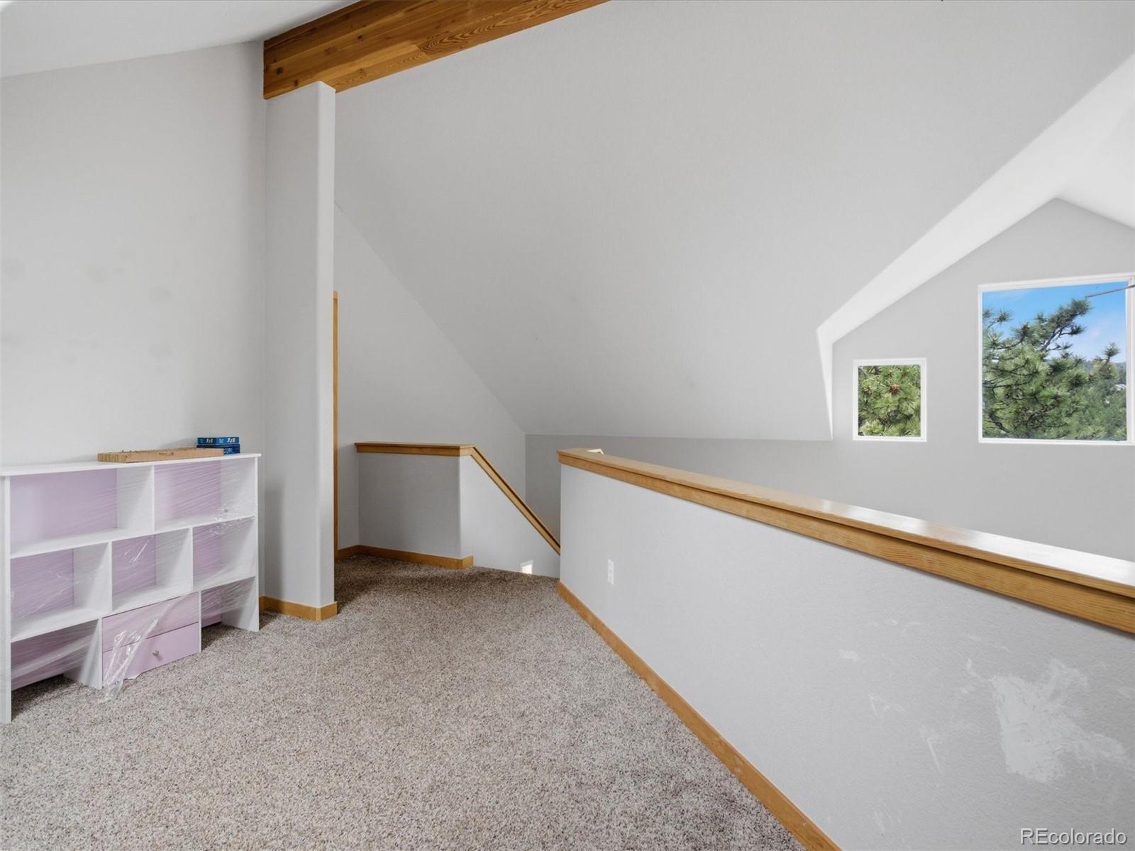117 Spruce Trail Bailey, CO 80421 - Photo 13 of 47