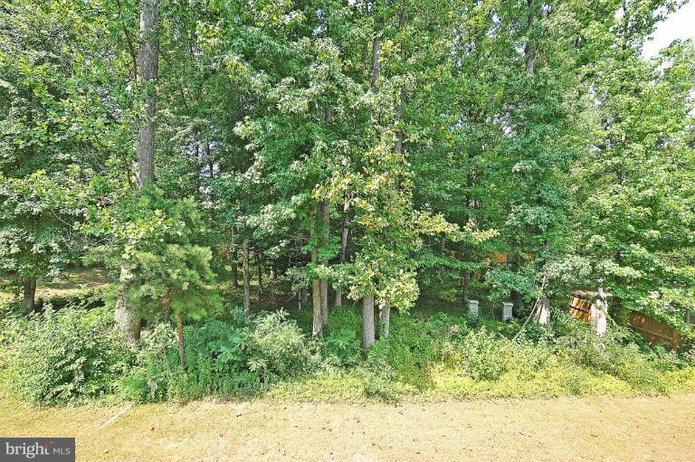 6734 Hamilton Road Lorton, VA 22079 - Photo 9 of 24 Wooded Acreage