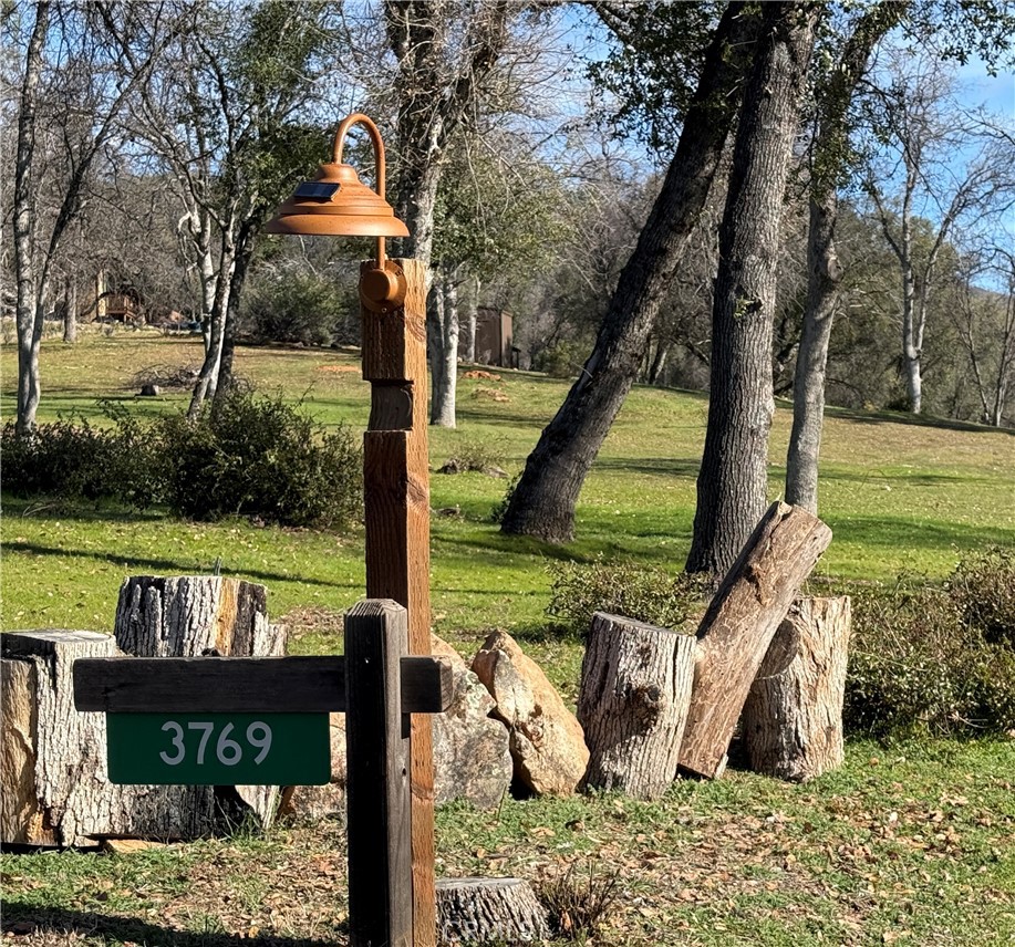 3769 Brodiea Lane Mariposa, CA 95338 - Photo 6 of 41