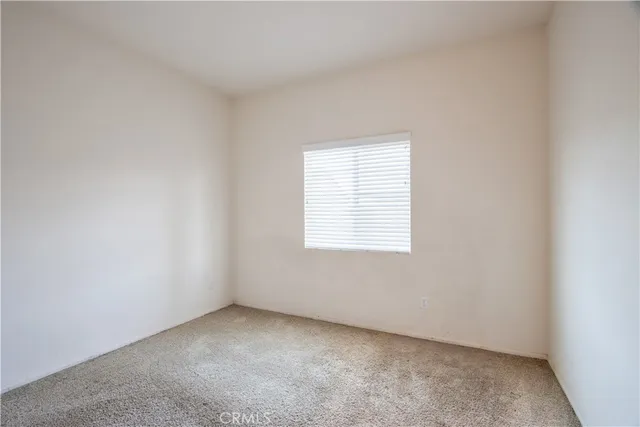 a view of a dry yard