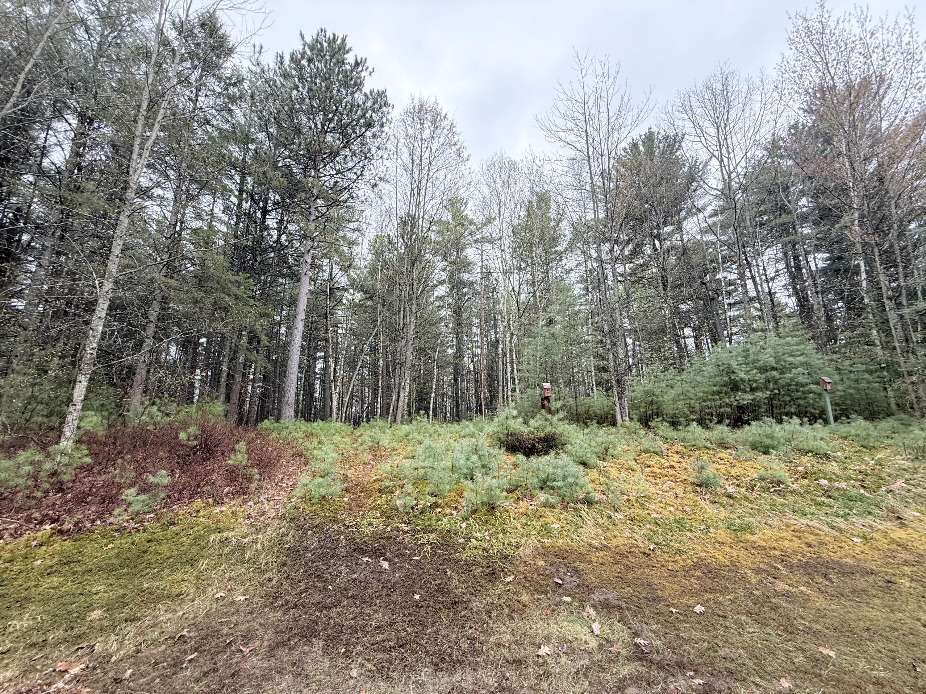 309 Turner Road Morrisonville, NY 12962 - Photo 17 of 20