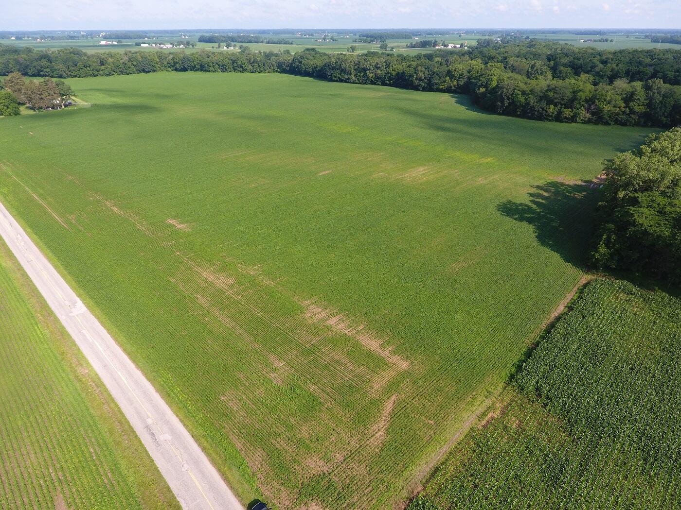 DJI_0001