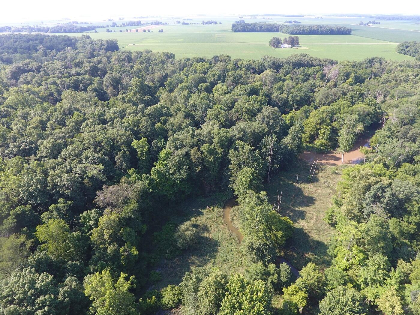 5920 Sheldon Road Blissfield, MI 49228 - Photo 13 of 20 DJI_0014