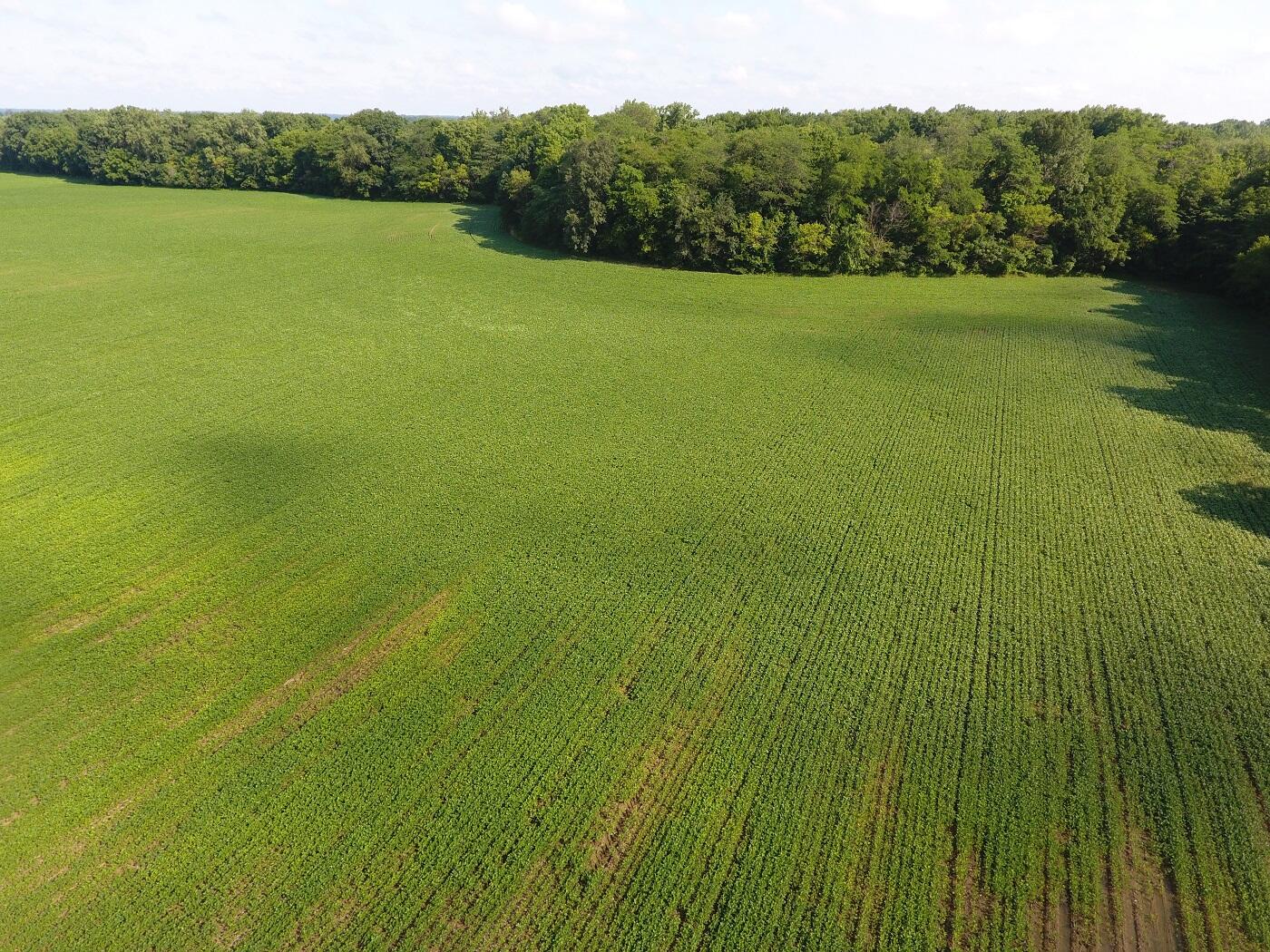 5920 Sheldon Road Blissfield, MI 49228 - Photo 16 of 20 DJI_0019