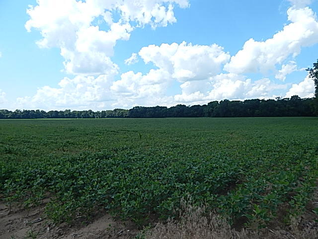 5920 Sheldon Road Blissfield, MI 49228 - Photo 20 of 20 DSCN8680