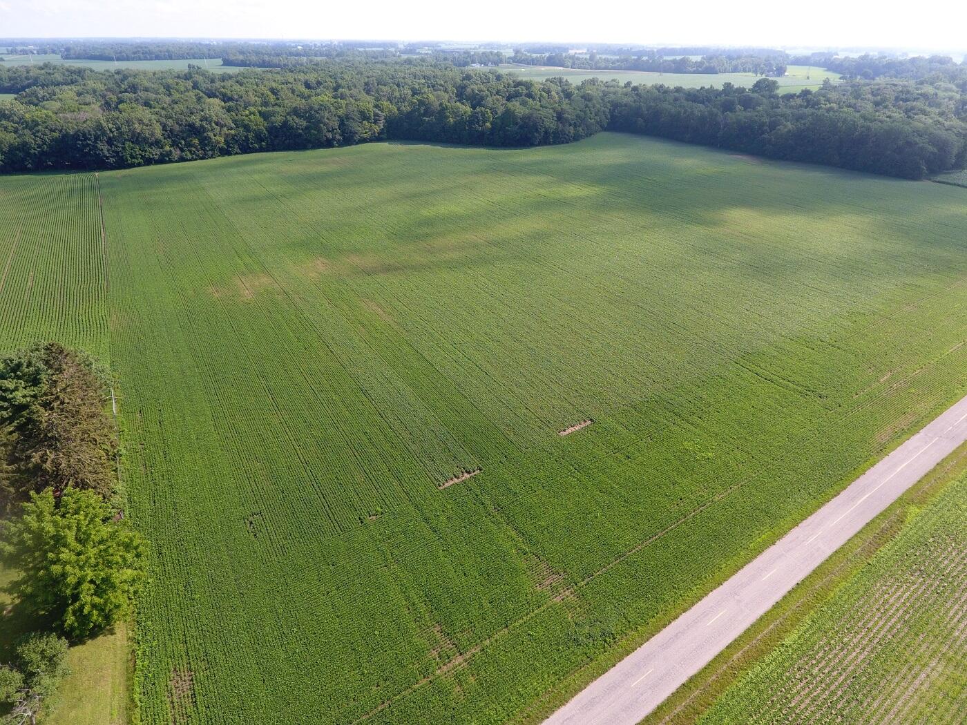 5920 Sheldon Road Blissfield, MI 49228 - Photo 3 of 20 DJI_0002