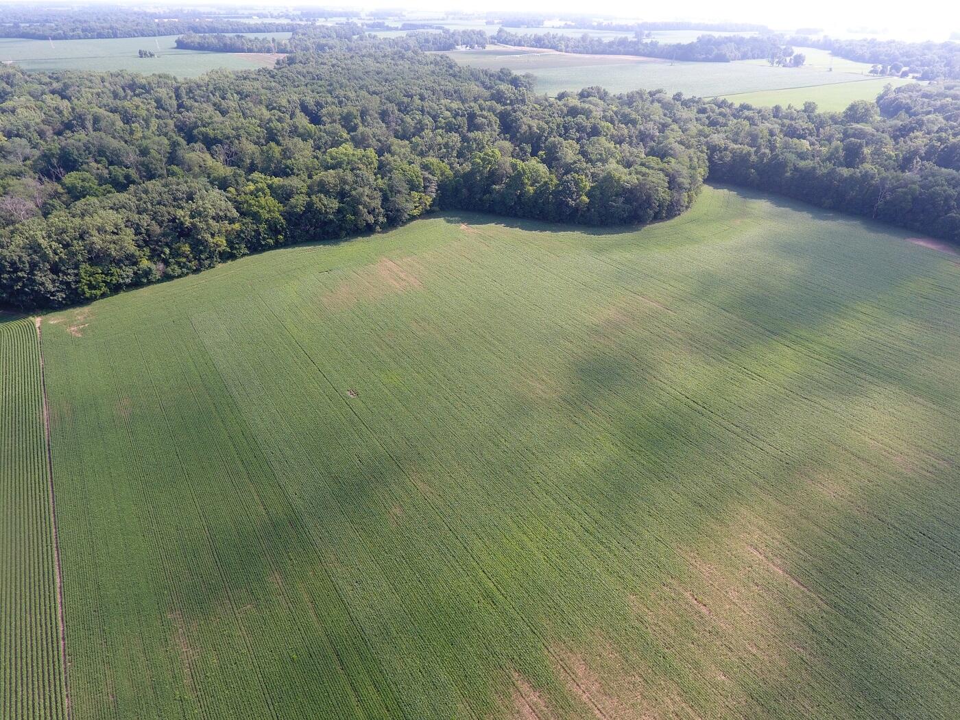 5920 Sheldon Road Blissfield, MI 49228 - Photo 4 of 20 DJI_0004