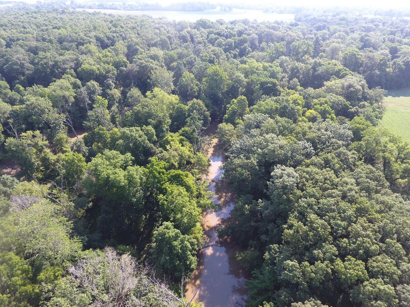 5920 Sheldon Road Blissfield, MI 49228 - Photo 5 of 20 DJI_0006