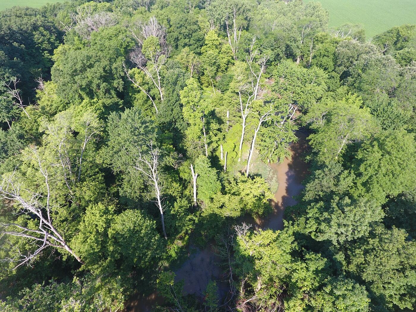5920 Sheldon Road Blissfield, MI 49228 - Photo 6 of 20 DJI_0007