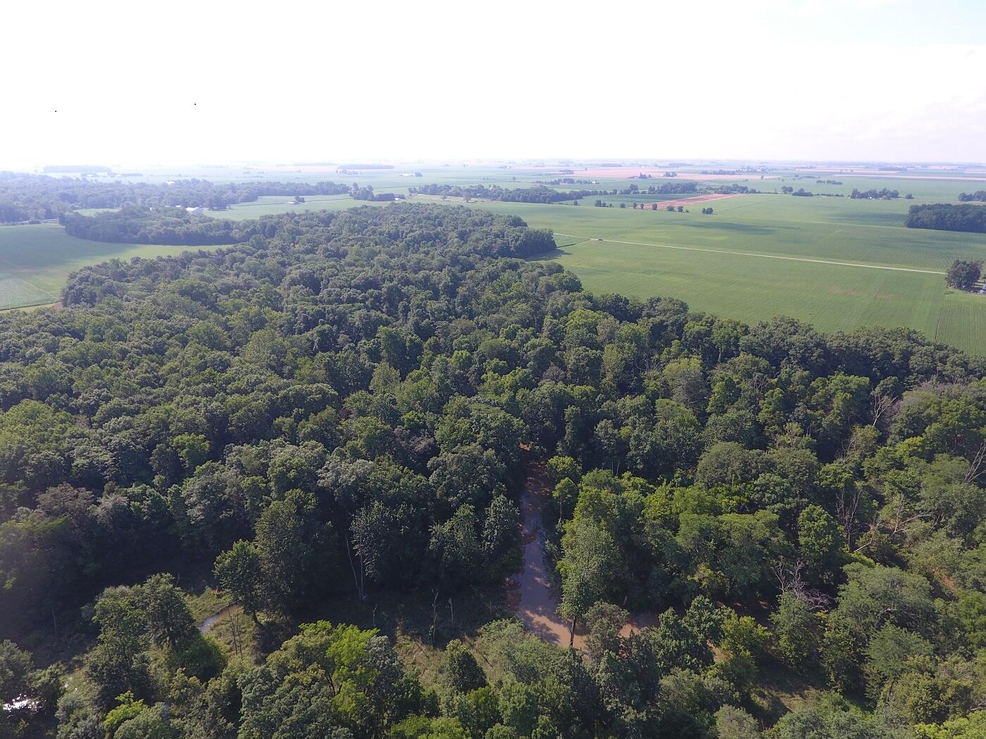 5920 Sheldon Road Blissfield, MI 49228 - Photo 9 of 20 DJI_0010