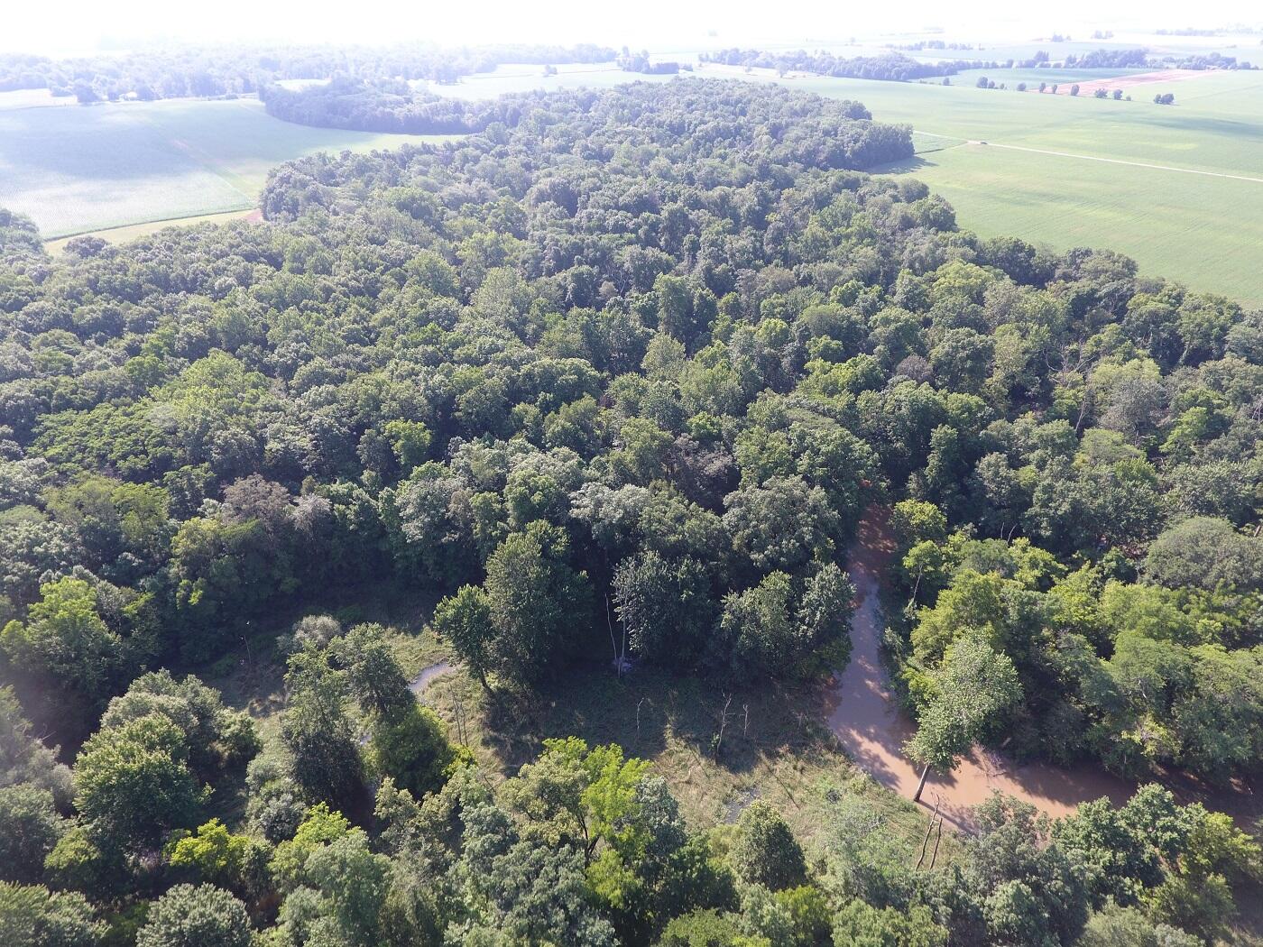 5920 Sheldon Road Blissfield, MI 49228 - Photo 10 of 20 DJI_0011