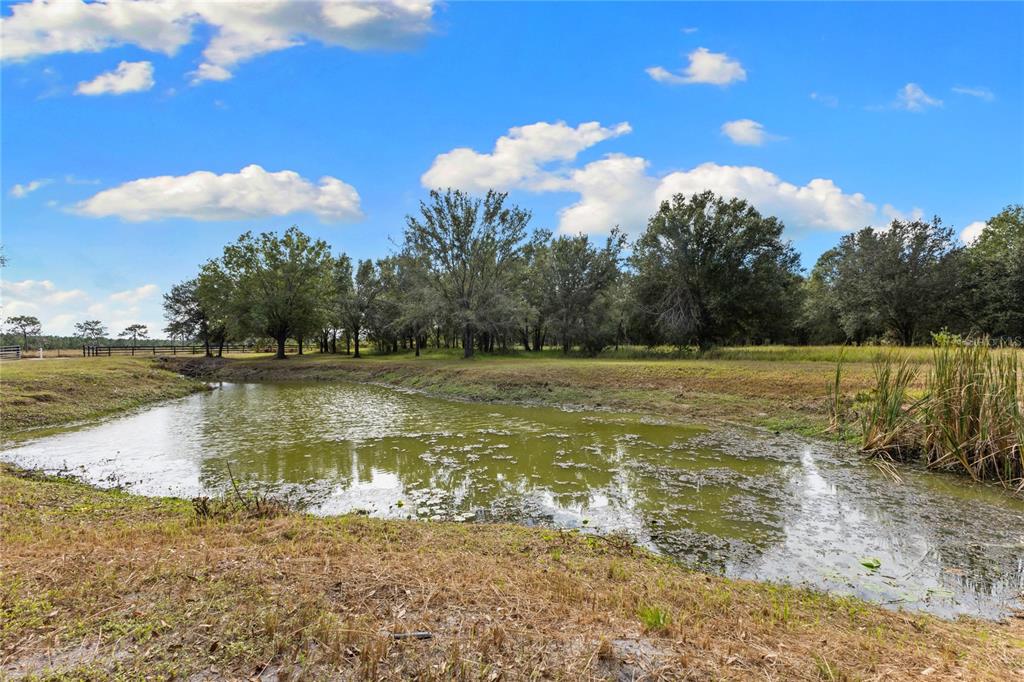 4940 Wauchula Road Myakka City, FL 34251 - Photo 62 of 77 a view of a lake view