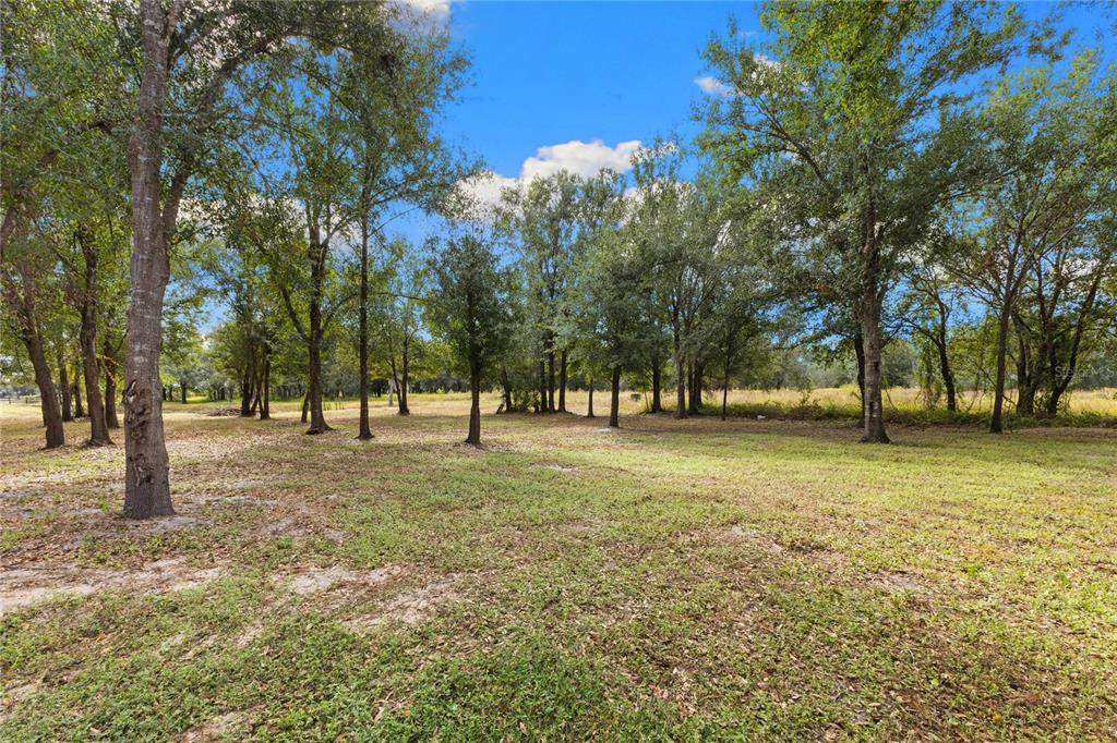 4940 Wauchula Road Myakka City, FL 34251 - Photo 65 of 77 a view of outdoor space with trees