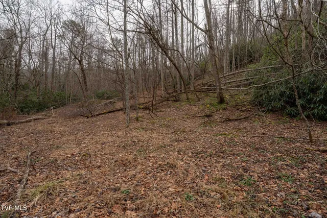 $70,000 | Tbd Laurel Road, Mountain City, TN 37683
