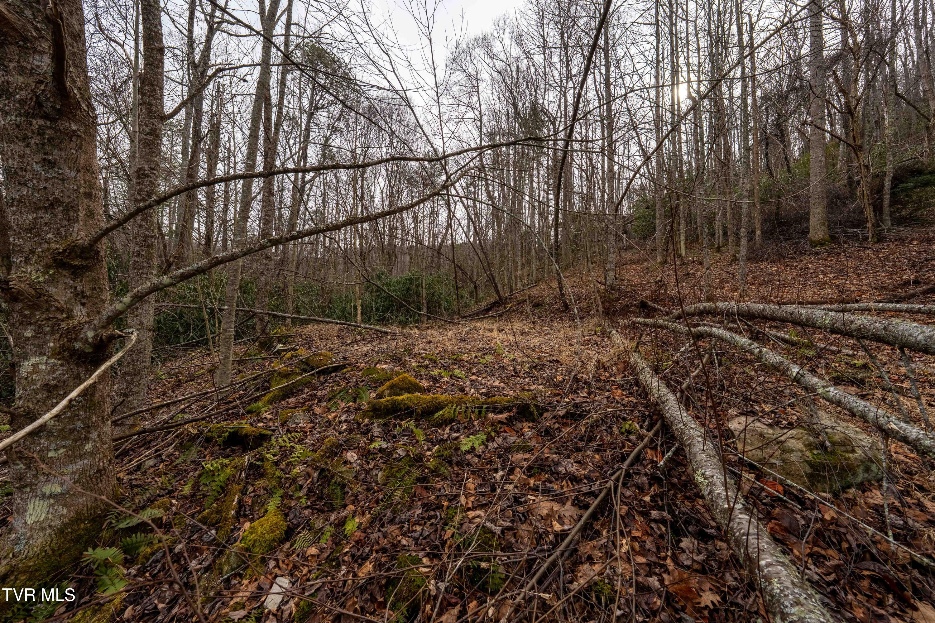 Tbd Laurel Road Mountain City, TN 37683 - Photo 13 of 37 TBD Laurel Rd (37 of 39)