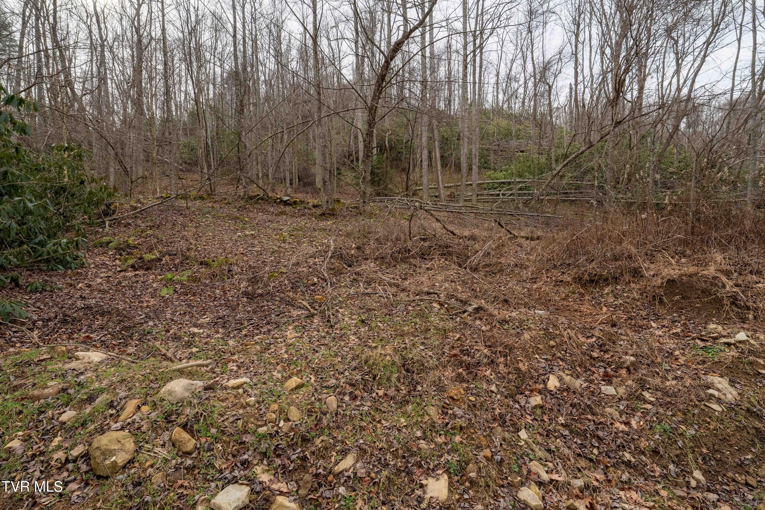 Tbd Laurel Road Mountain City, TN 37683 - Photo 15 of 37 TBD Laurel Rd (23 of 39)