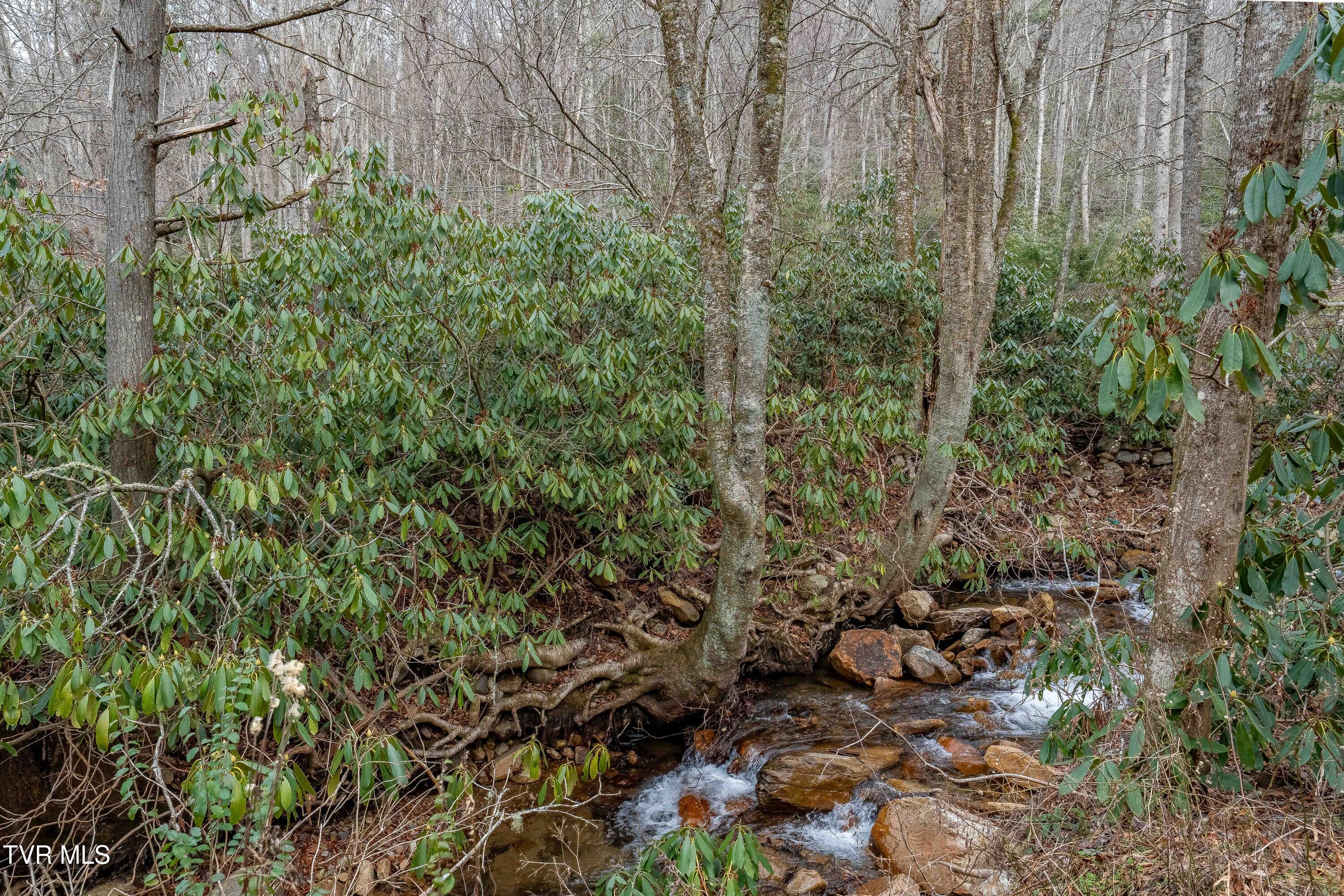 Tbd Laurel Road Mountain City, TN 37683 - Photo 16 of 37 TBD Laurel Rd (19 of 39)