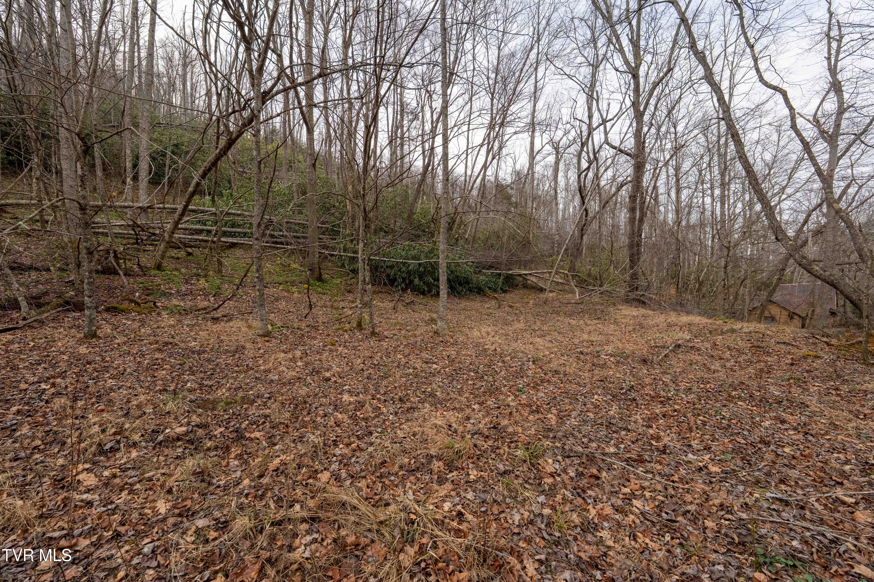 Tbd Laurel Road Mountain City, TN 37683 - Photo 18 of 37 TBD Laurel Rd (35 of 39)