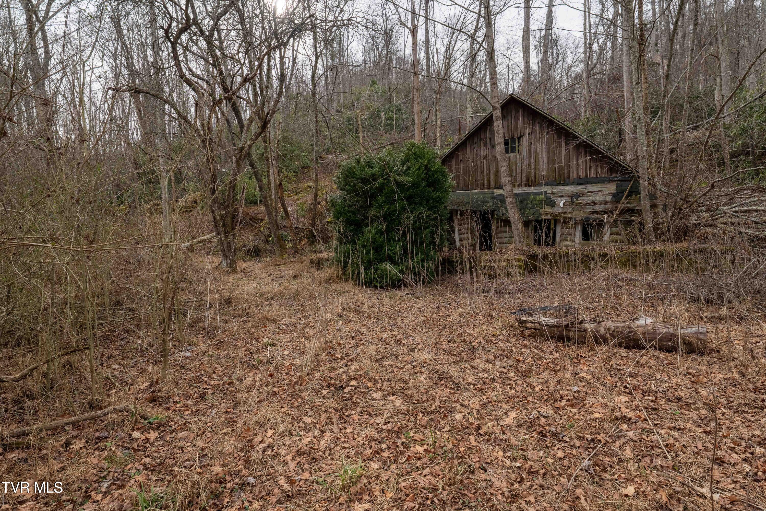 Tbd Laurel Road Mountain City, TN 37683 - Photo 20 of 37 TBD Laurel Rd (27 of 39)