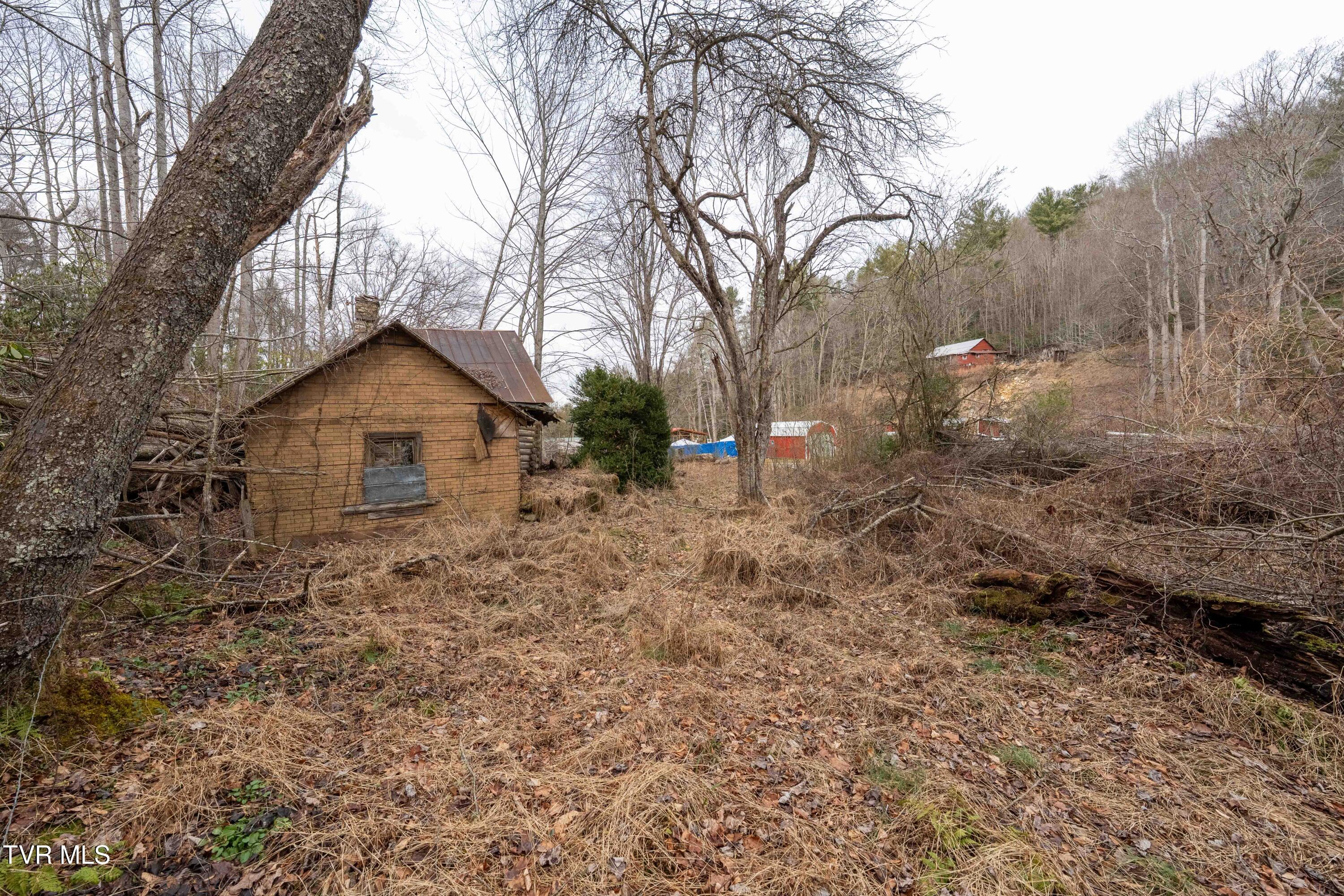 Tbd Laurel Road Mountain City, TN 37683 - Photo 21 of 37 TBD Laurel Rd (31 of 39)