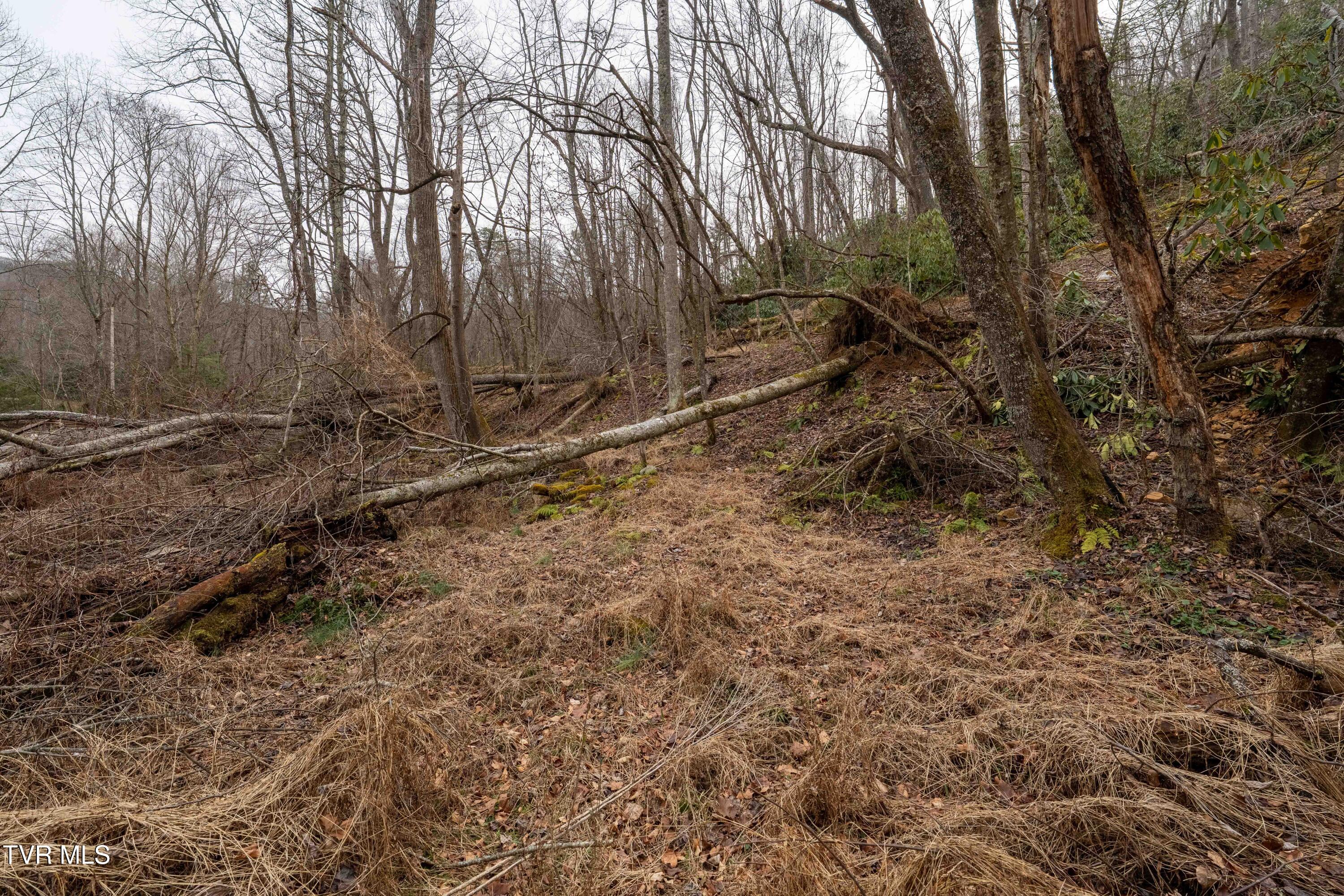 Tbd Laurel Road Mountain City, TN 37683 - Photo 23 of 37 TBD Laurel Rd (30 of 39)