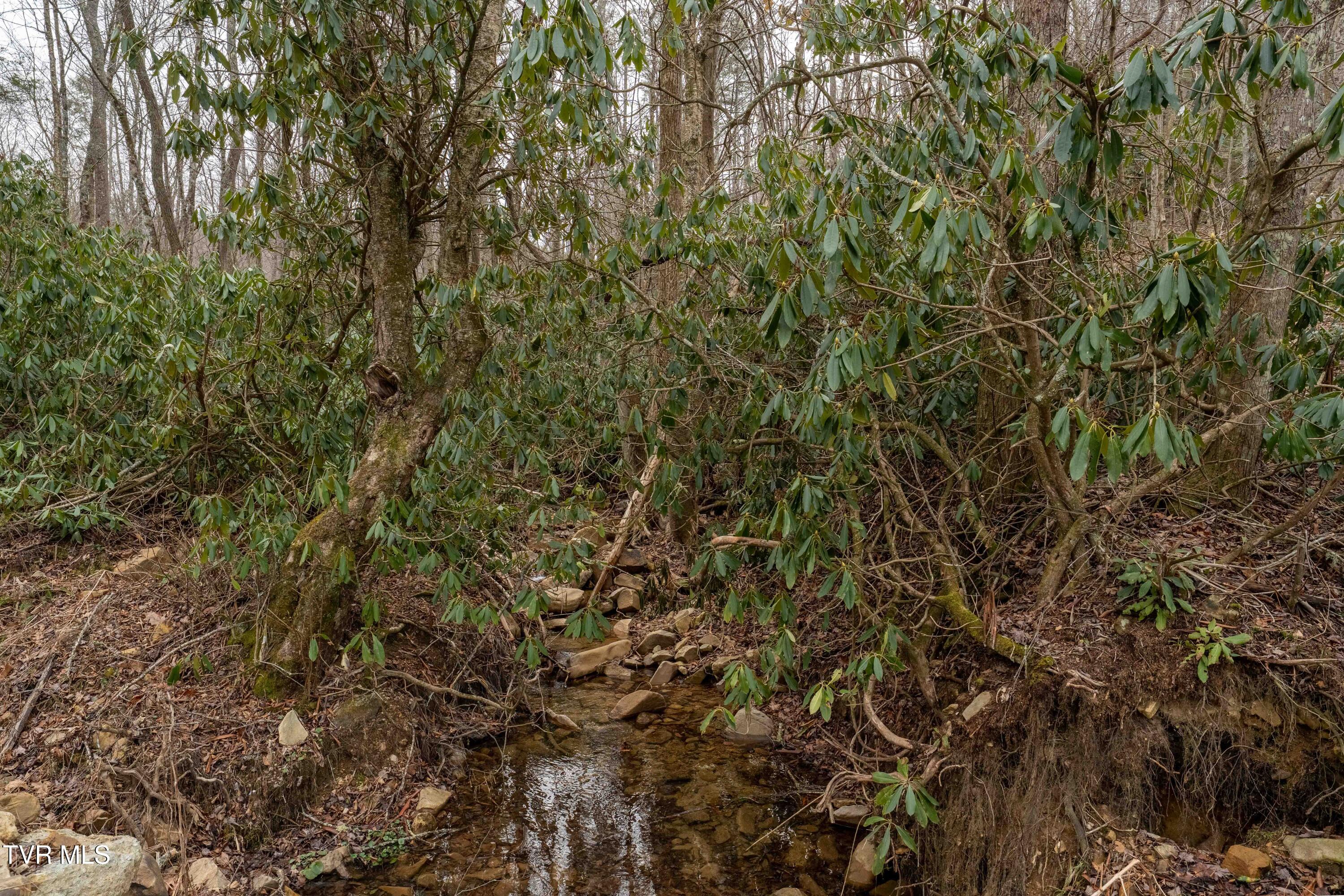 Tbd Laurel Road Mountain City, TN 37683 - Photo 24 of 37 TBD Laurel Rd (22 of 39)