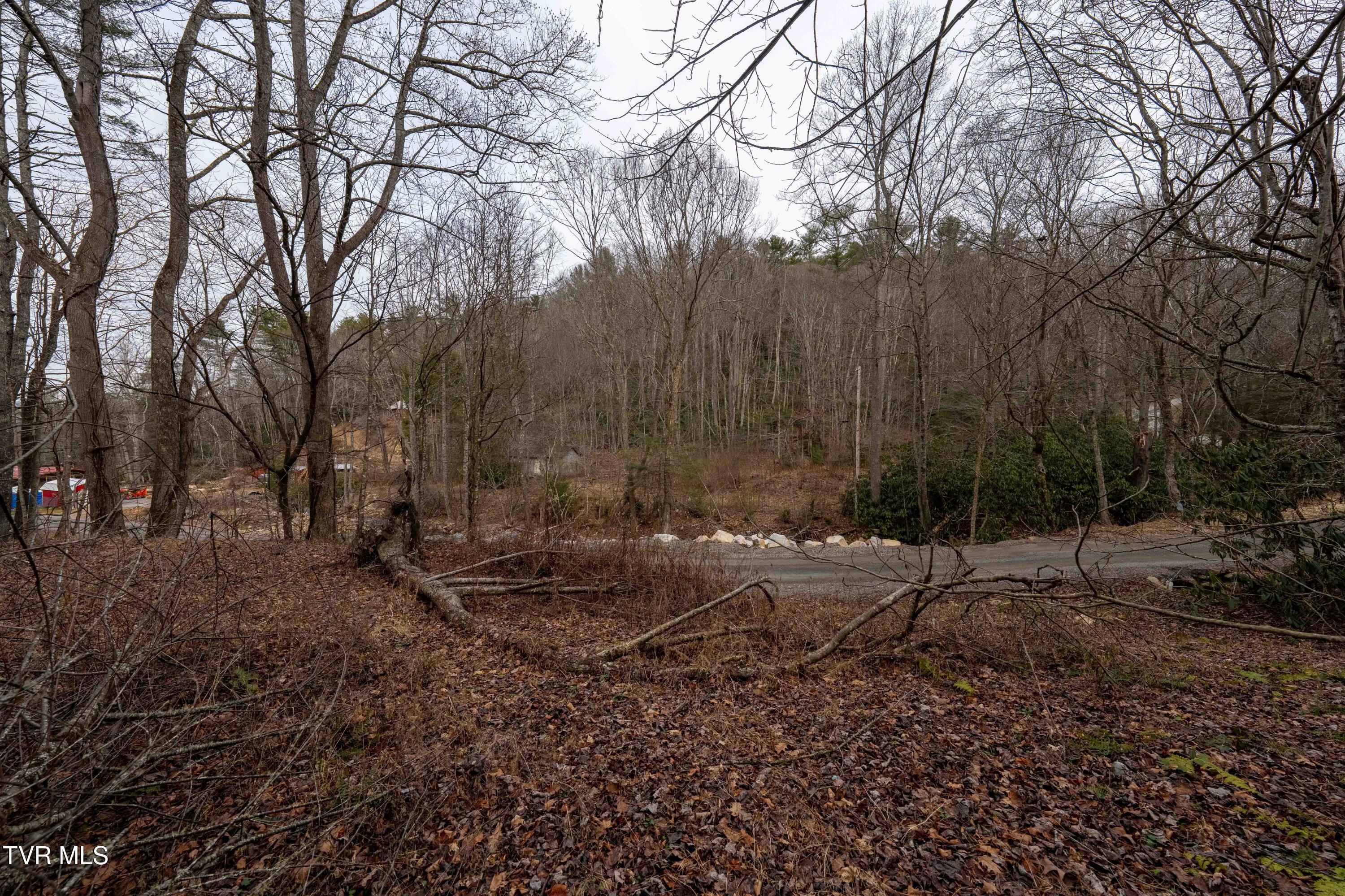 Tbd Laurel Road Mountain City, TN 37683 - Photo 4 of 37 TBD Laurel Rd (38 of 39)