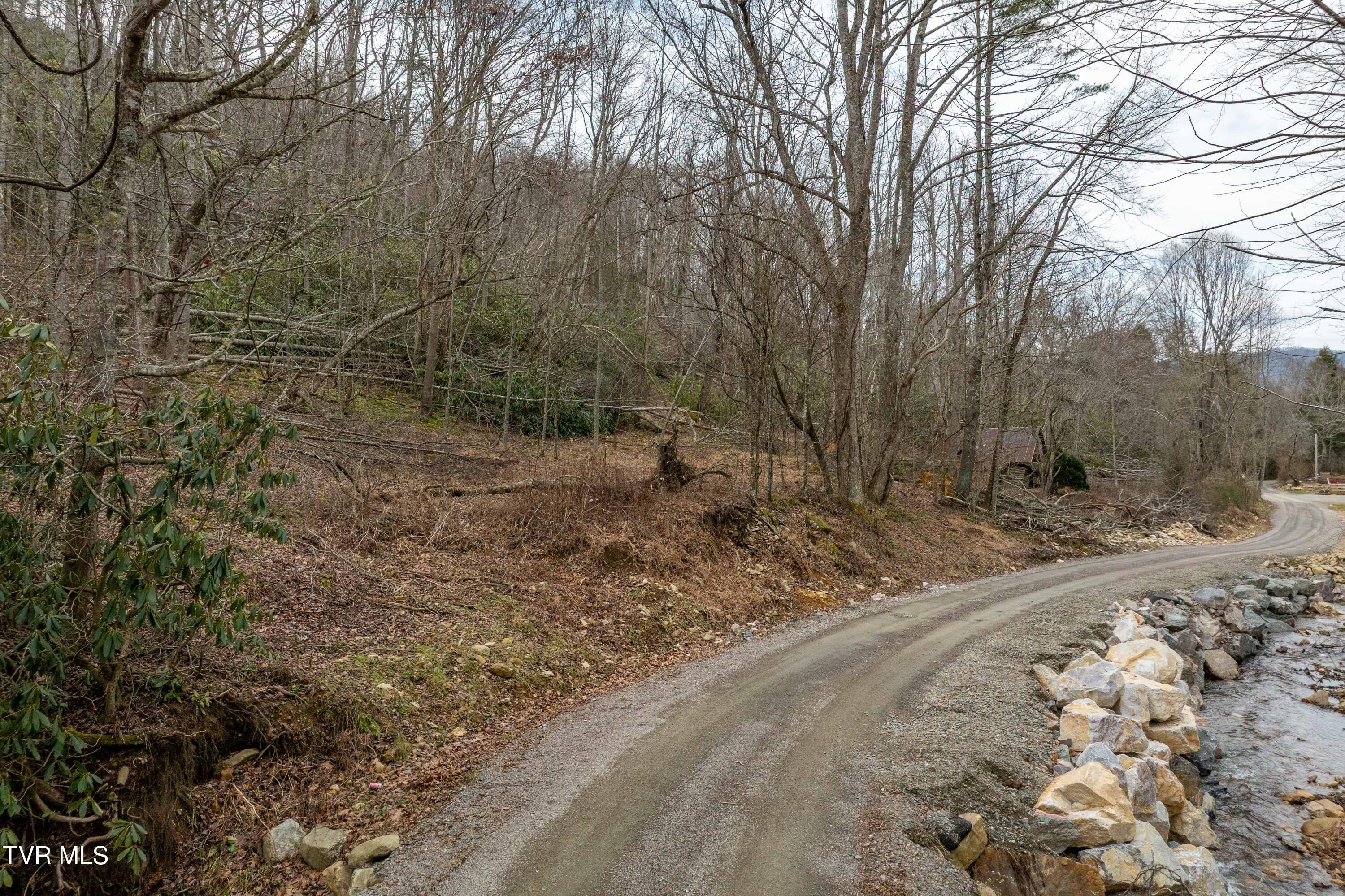 Tbd Laurel Road Mountain City, TN 37683 - Photo 5 of 37 TBD Laurel Rd (16 of 39)