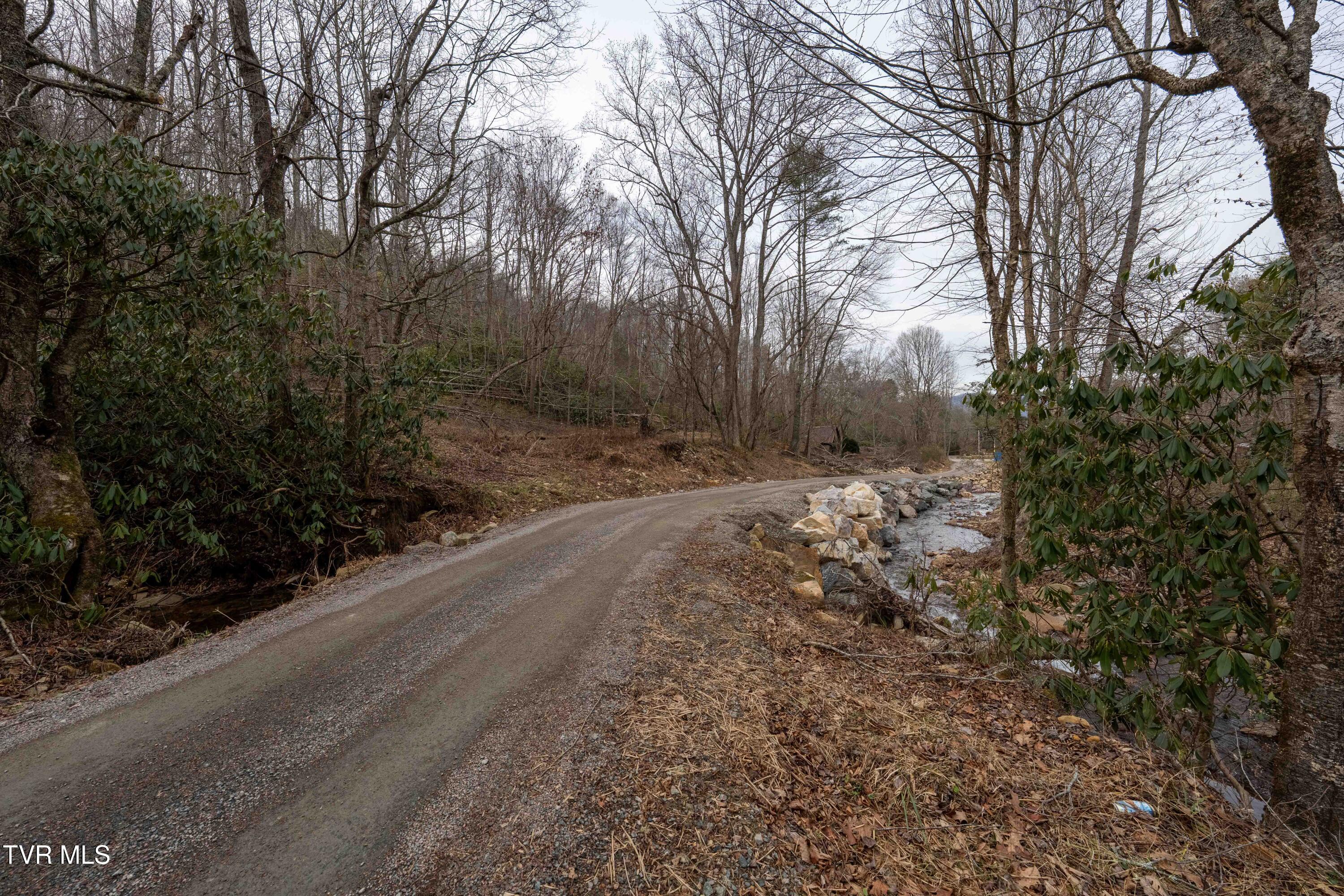 Tbd Laurel Road Mountain City, TN 37683 - Photo 6 of 37 TBD Laurel Rd (21 of 39)