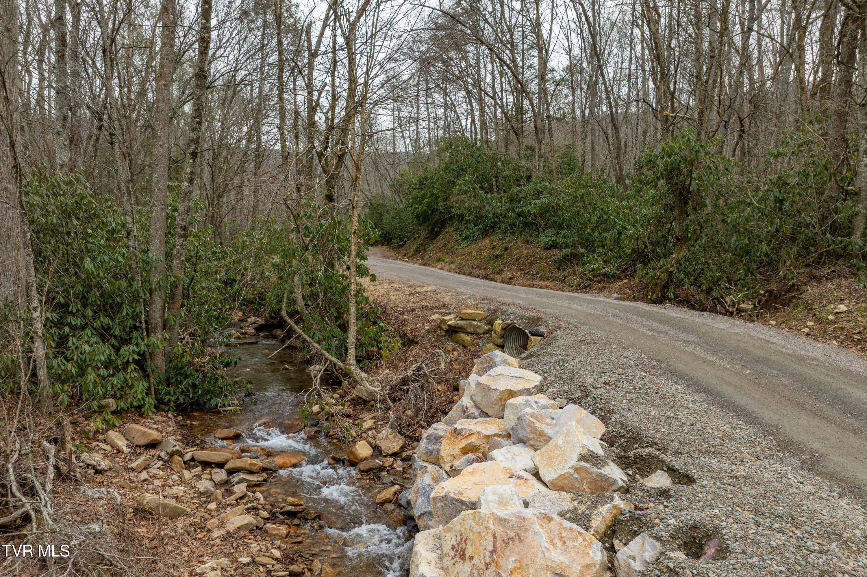 Tbd Laurel Road Mountain City, TN 37683 - Photo 8 of 37 TBD Laurel Rd (17 of 39)