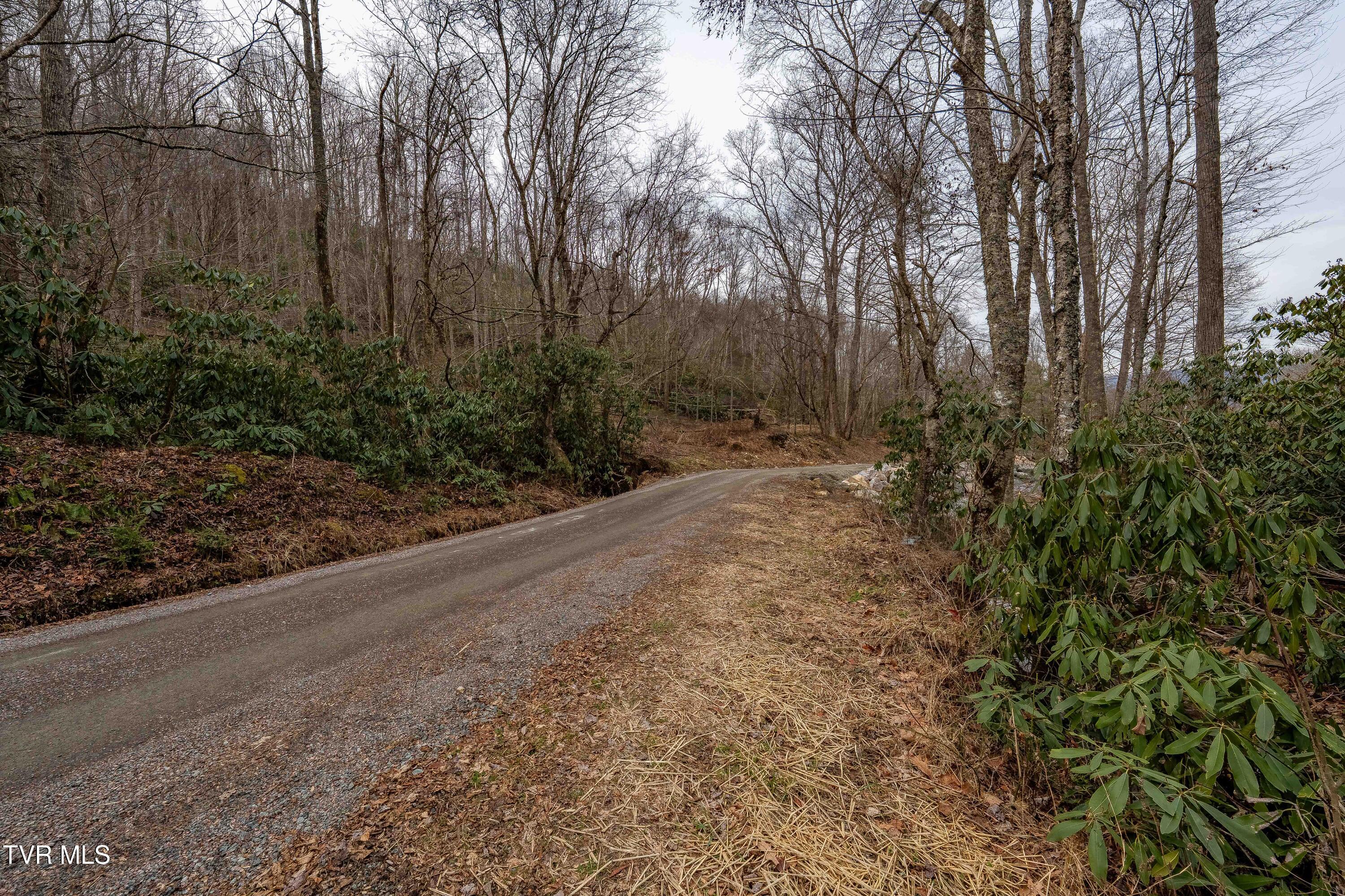 Tbd Laurel Road Mountain City, TN 37683 - Photo 9 of 37 TBD Laurel Rd (20 of 39)