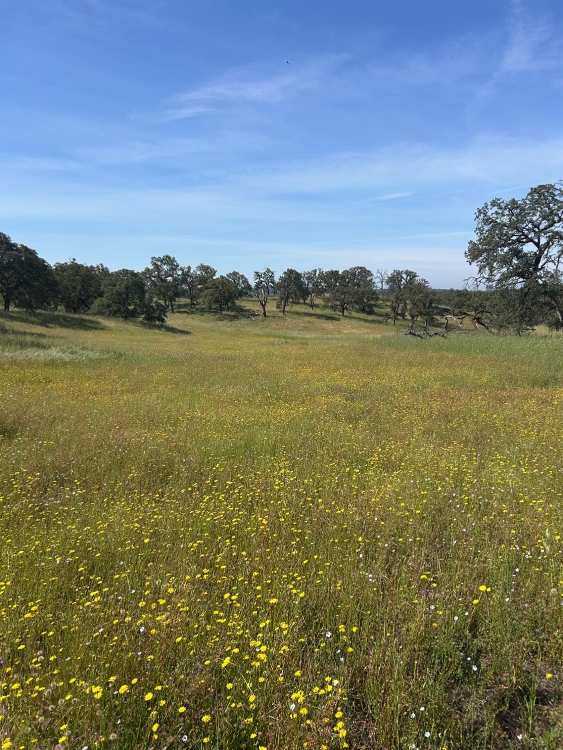 0 Matthew Road Wheatland, CA 95692 - Photo 2 of 15 a view of an ocean from a city